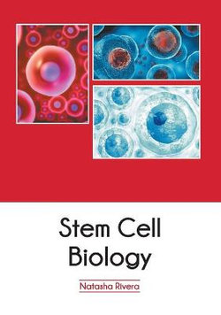 Stem Cell Biology