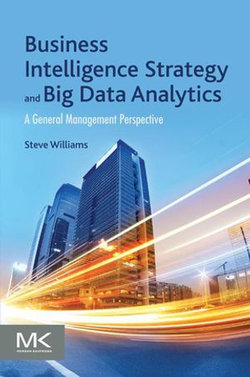 Business Intelligence Strategy and Big Data Analytics