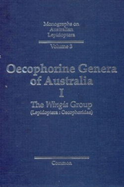 Oecophorine Genera of Australia I