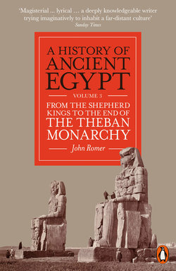 A History of Ancient Egypt, Volume 3