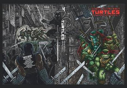 Teenage Mutant Ninja Turtles: the Ultimate Collection, Vol. 4