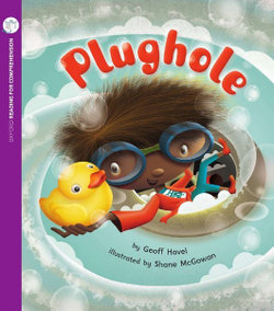 Plughole (Pack of 6 with Comprehension Coaching Card)