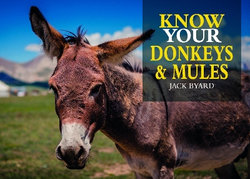 Know Your Mules & Donkeys 