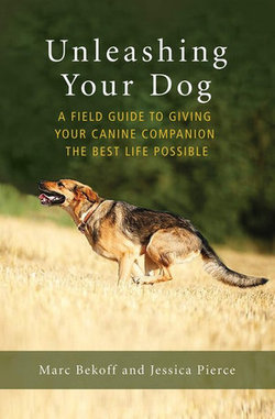 Unleashing Your Dog