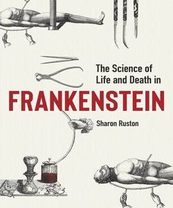 The Science of Life and Death In &amp;quot;Frankenstein&amp;quot;