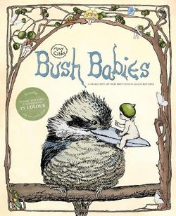 Bush Babies