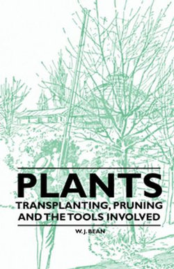 Plants - Transplanting, Pruning and the Tools Involved