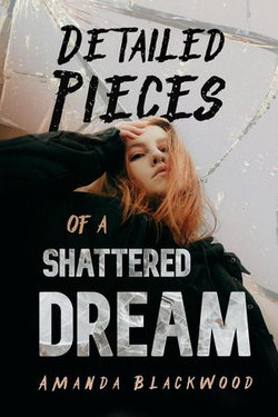 Detailed Pieces of a Shattered Dream