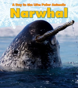 Narwhal