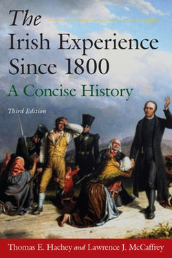 The Irish Experience Since 1800: A Concise History