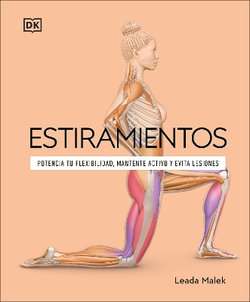 Estiramientos (Science of Stretch)