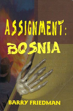 Assignment: Bosnia