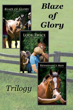 Blaze of Glory trilogy boxset