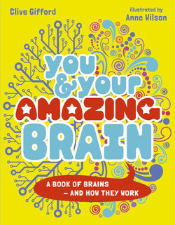 You and Your Amazing Brain