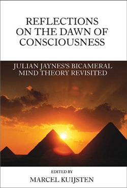 Reflections on the Dawn of Consciousness