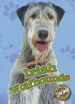 Irish Wolfhounds