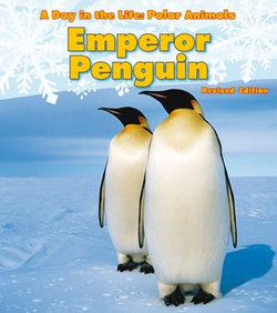 Emperor Penguin