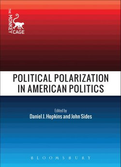 Political Polarization in American Politics