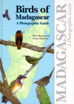 Birds of Madagascar