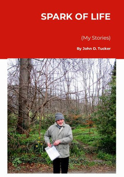 Spark of Life (My Stories)