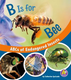 B Is for Bees