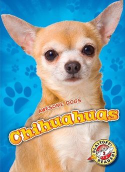 Chihuahuas