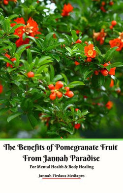 The Benefits of Pomegranate Fruit from Jannah Paradise For Mental Health & Body Healing