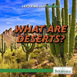 What Are Deserts?