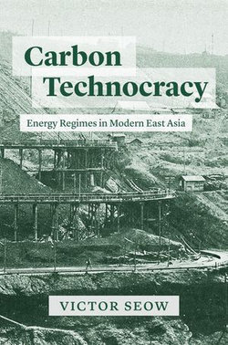 Carbon Technocracy