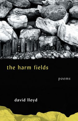 The Harm Fields