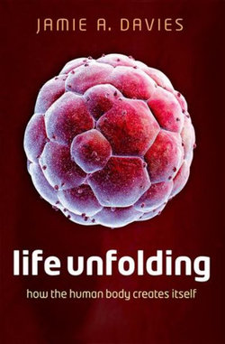 Life Unfolding