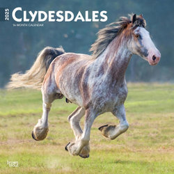 Clydesdales 2025 12 X 24 Inch Monthly Square Wall Calendar Plastic-Free