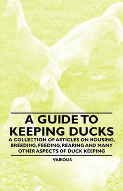 A Guide to Keeping Ducks - A Collection of Articles on Housing, Breeding, Feeding, Rearing and Many Other Aspects of Duck Keeping