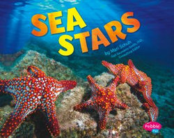 Sea Stars