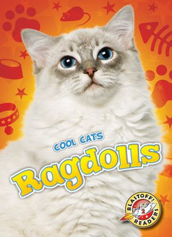 Ragdolls