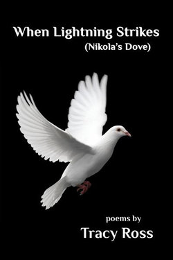 When Lightning Strikes (Nikola's Dove)