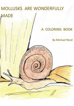 Mollusks Are Wonderfully Designed