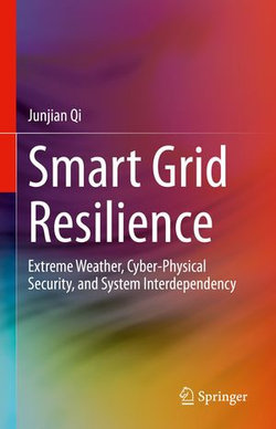 Smart Grid Resilience