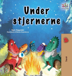 Under the Stars (Danish Children's Book)