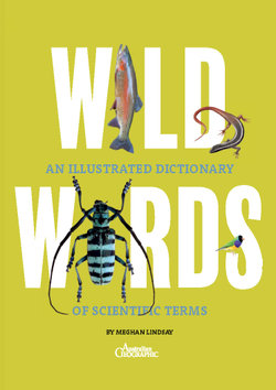 Illustrated Dictionary of Scientific Terms