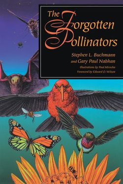 The Forgotten Pollinators