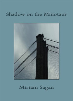 The Shadow on the Minotaur