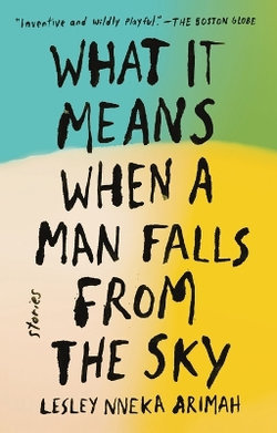 What It Means When a Man Falls from the Sky