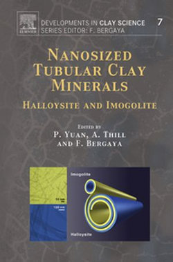 Nanosized Tubular Clay Minerals