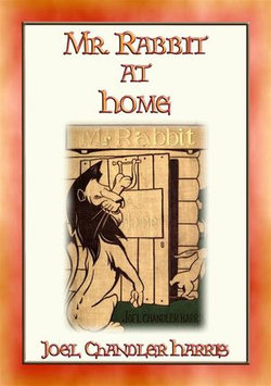 Mr RABBIT AT HOME - 24 Illustrated Children's Stories