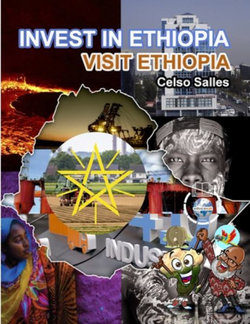 INVEST in ETHIOPIA - Visit Ethiopia - Celso Salles