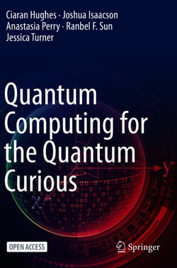 Quantum Computing for the Quantum Curious