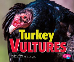 Turkey Vultures