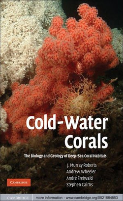 Cold-Water Corals