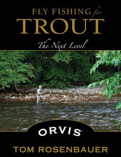 Fly Fishing for Trout